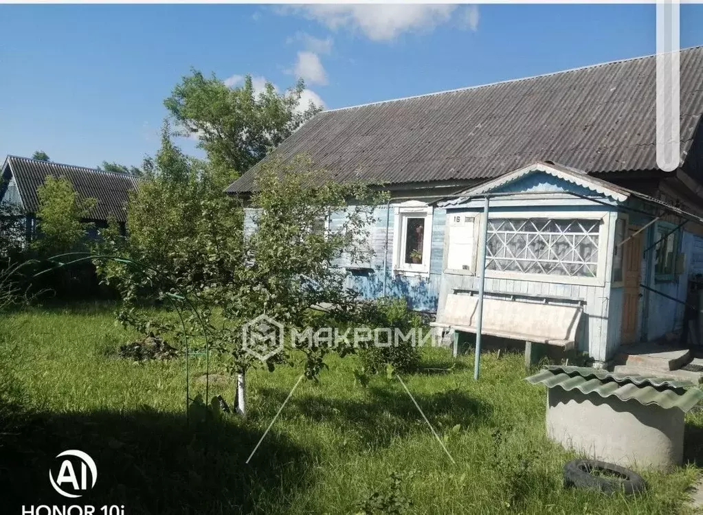 Дом в Брянская область, Навлинский район, пос. Синезерки Октябрьская ... - Фото 2