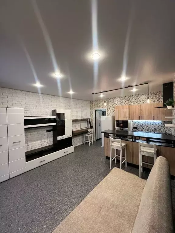 Студия Новосибирская область, Новосибирск Красный просп., 313 (27.0 м) - Фото 1