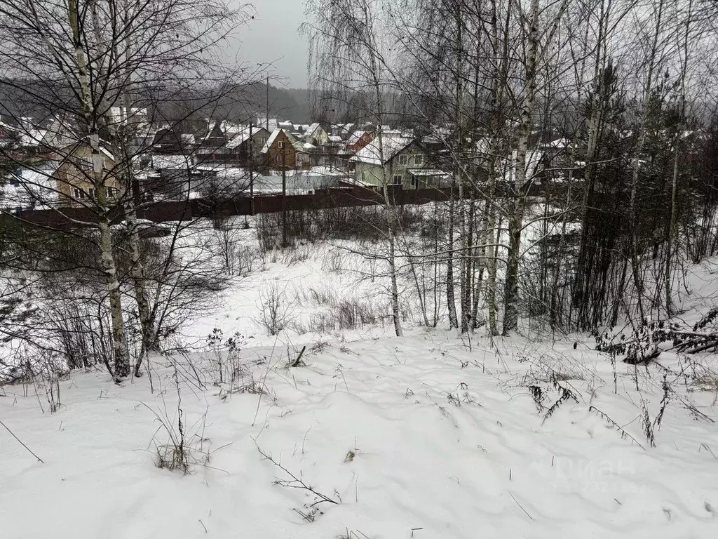 Участок в Московская область, Пушкинский городской округ, д. Лепешки  ... - Фото 0