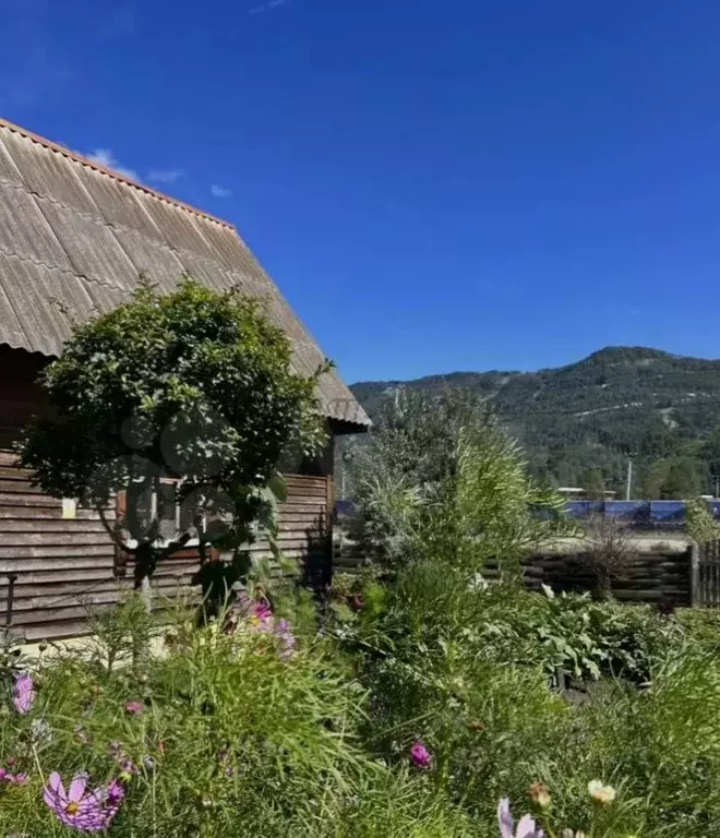 Участок в Алтай, Майминский район, Манжерокское с/пос, с. Озерное ул. ... - Фото 1