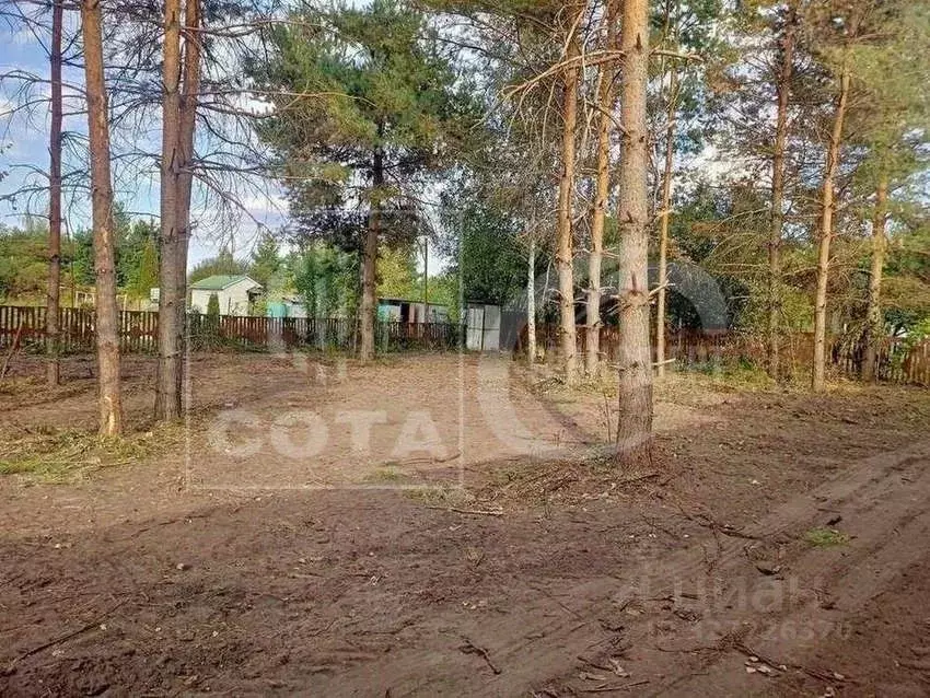 Участок в Воронежская область, Рамонский район, Айдаровское с/пос, ... - Фото 2