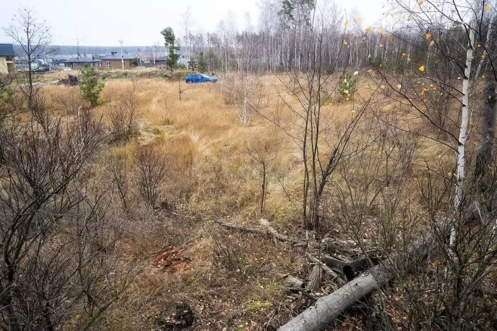 Участок в Воронежская область, Рамонский район, с. Ямное ул. ... - Фото 2