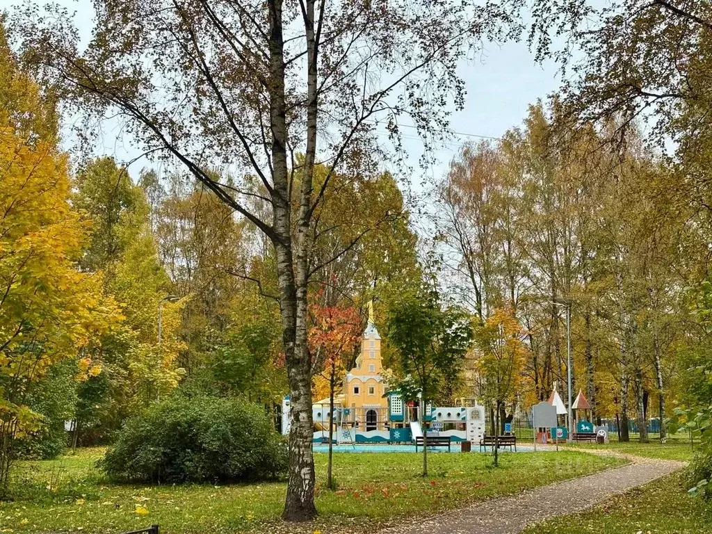 Комната Санкт-Петербург ул. Демьяна Бедного, 31к3 (29.0 м) - Фото 2