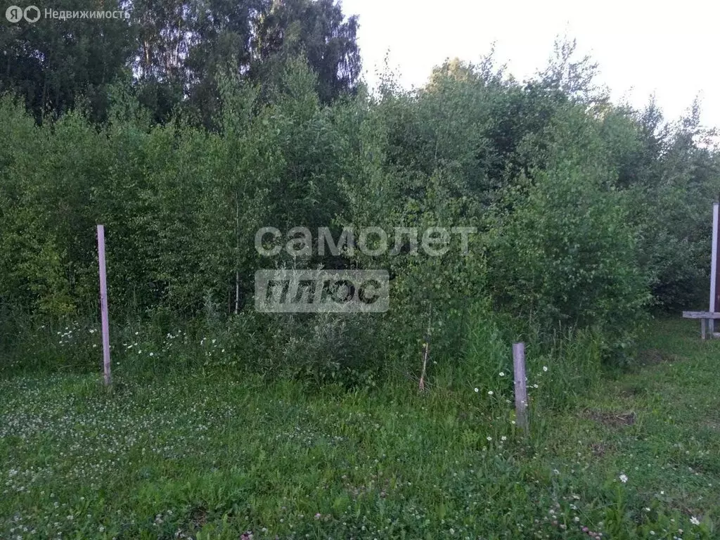 Участок в Нижегородская область, Богородский муниципальный округ, ... - Фото 1