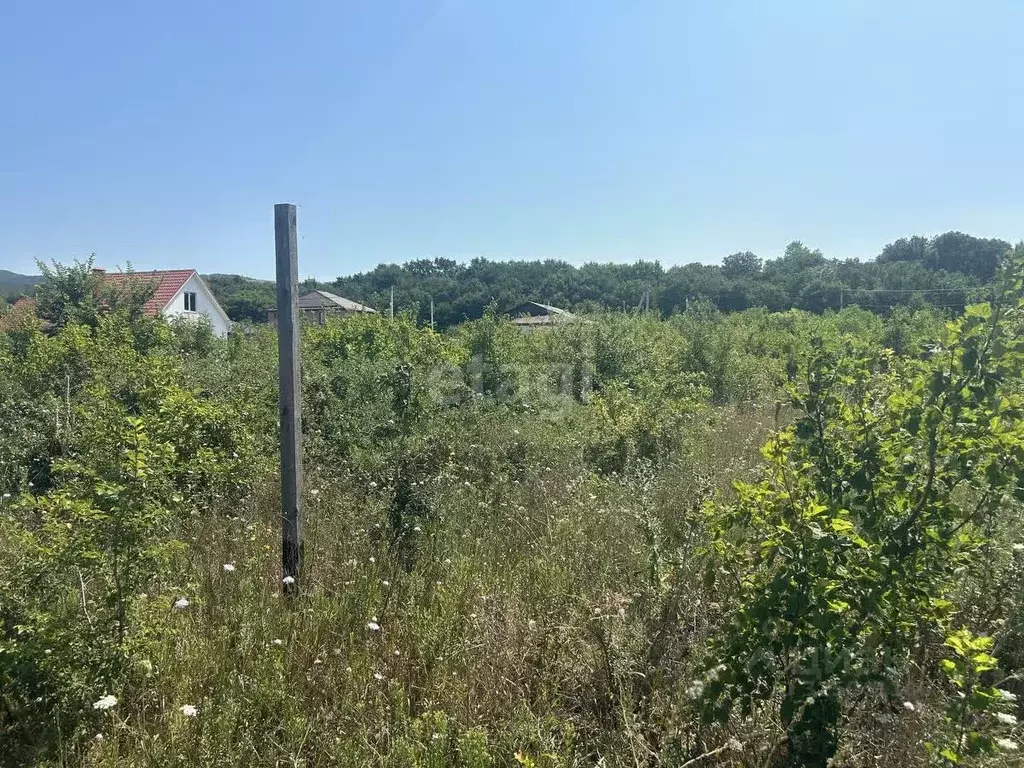 Участок в Краснодарский край, Новороссийск городской округ, ... - Фото 0