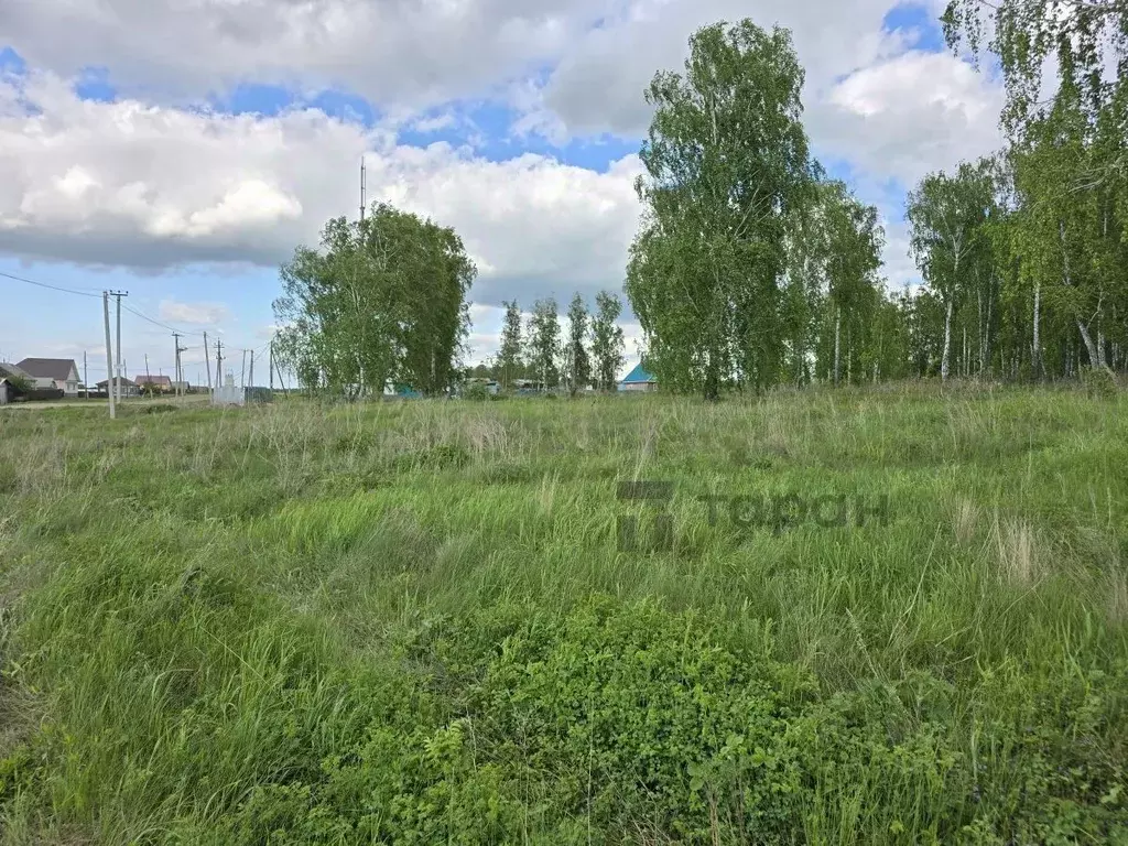 Участок в Челябинская область, Сосновский район, д. Мамаева Солнечная ... - Фото 0