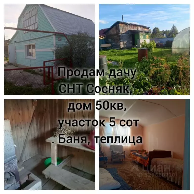 Дом в Алтайский край, Первомайский район, Сосняк СНТ ул. 31-я, 401 (50 ... - Фото 1