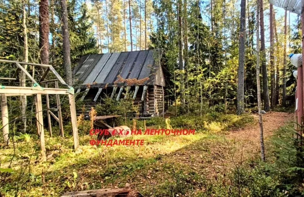 Участок в Ленинградская область, Гатчинский муниципальный округ, ... - Фото 2