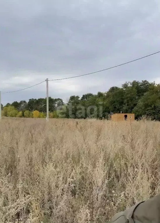 Участок в Воронежская область, Семилукский район, с. Девица ул. ... - Фото 0