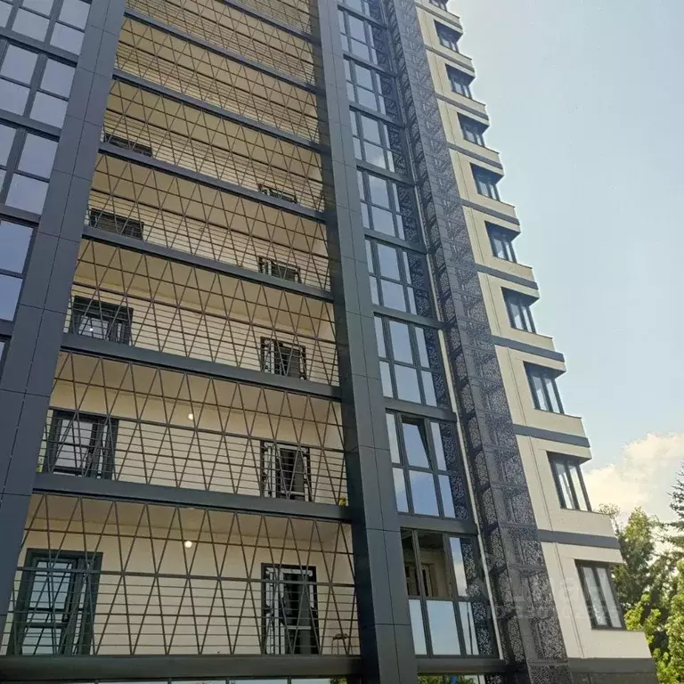 2-к кв. Амурская область, Благовещенск Рабочая ул., 60 (52.5 м) - Фото 2