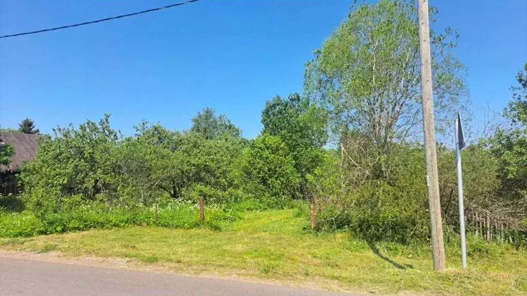 Участок в Новгородская область, Новгородский район, Ермолинское с/пос, ... - Фото 1
