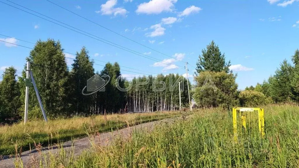 Участок в Тюменская область, Тюменский район, д. Головина Соловьиная ... - Фото 1