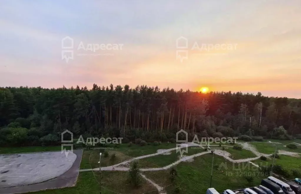 1-к кв. Московская область, Люберцы городской округ, Октябрьский пгт ... - Фото 2