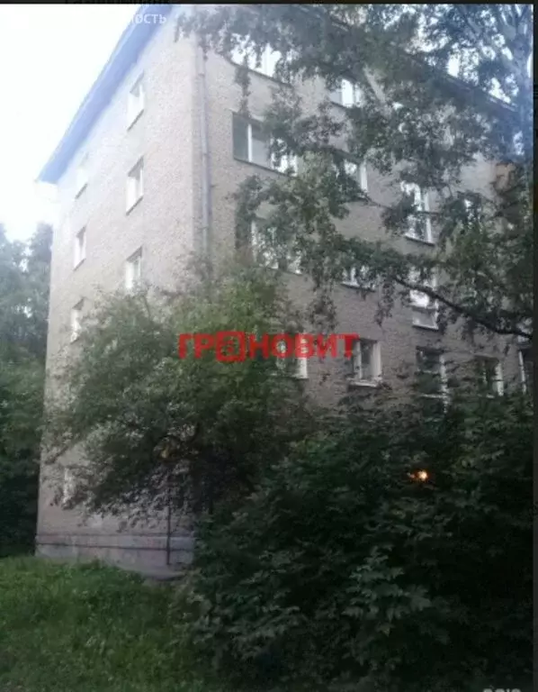 1-комнатная квартира: Новосибирск, улица Богдана Хмельницкого, 4/1 ... - Фото 1
