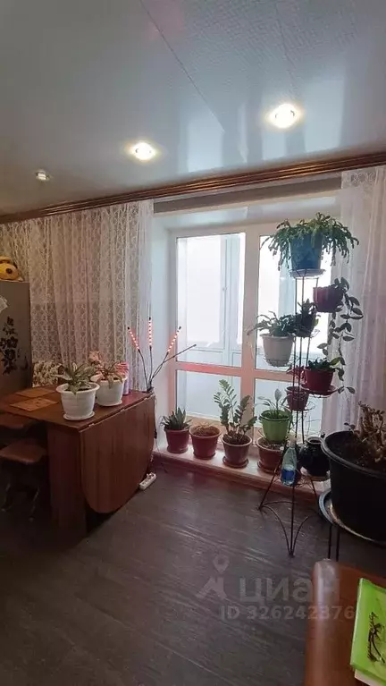 Комната Нижегородская область, Дзержинск ул. Петрищева, 6 (17.0 м) - Фото 2