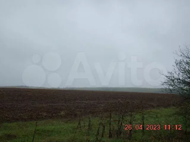 Участок 79,9 га (ИЖС) - Фото 0