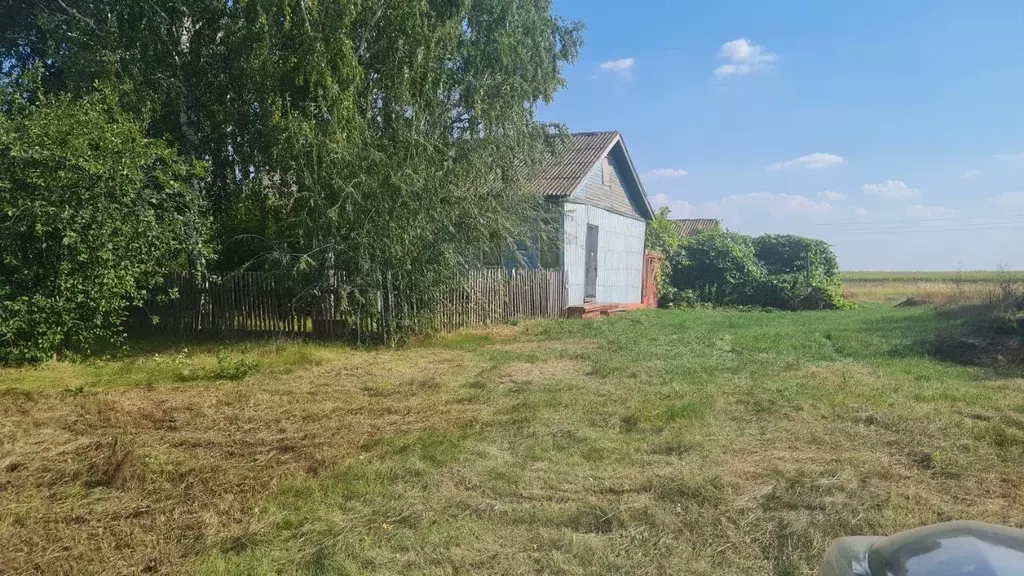 Дом в Тамбовская область, Мучкапский муниципальный округ, с. Нижнее ... - Фото 0