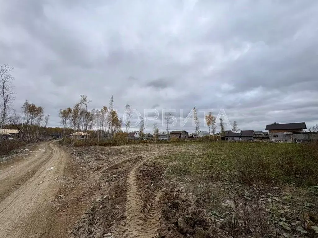 Участок в Тюменская область, Тюменский муниципальный округ, Винзили рп ... - Фото 1