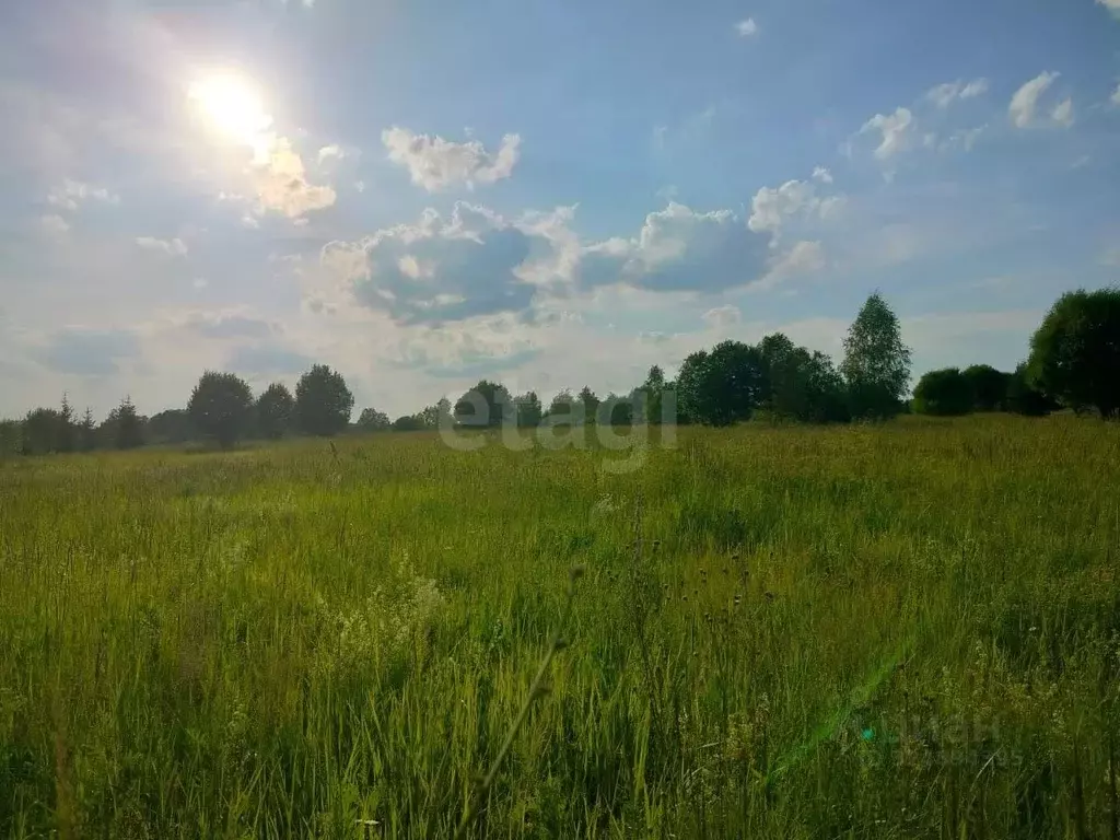 Участок в Владимирская область, Петушинский муниципальный округ, ... - Фото 1