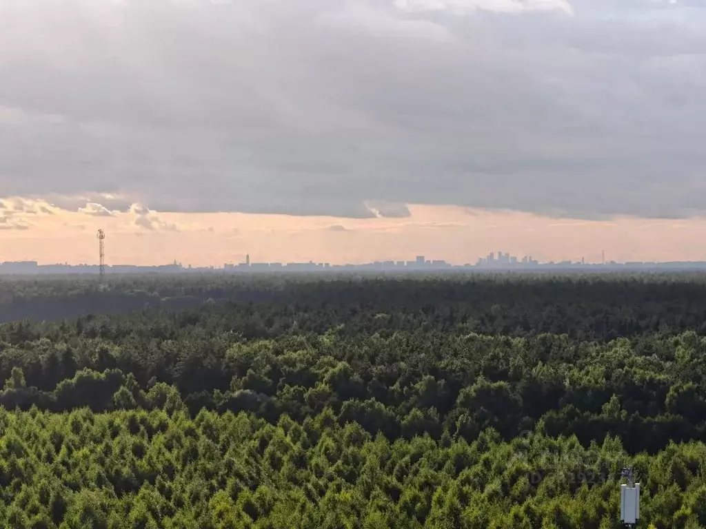 2-к кв. Московская область, Раменское ул. Семейная, 7 (41.4 м) - Фото 2