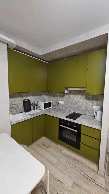 Студия Московская область, Солнечногорск городской округ, Голубое пгт ... - Фото 2