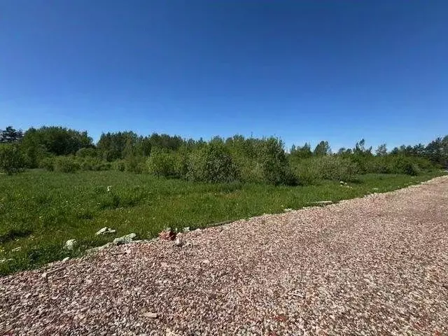 Участок в Московская область, Дмитровский муниципальный округ, д. ... - Фото 0