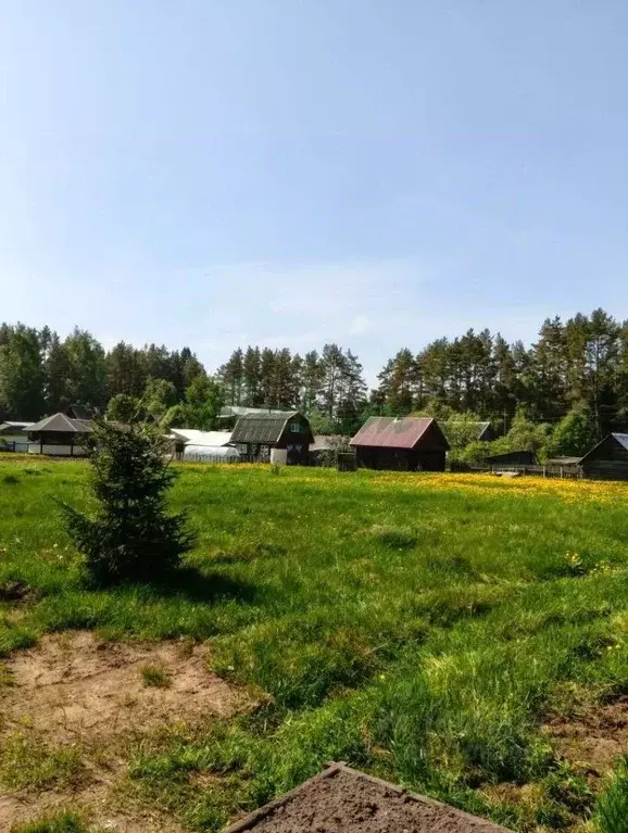 Участок в Тверская область, Осташковский муниципальный округ, д. ... - Фото 1