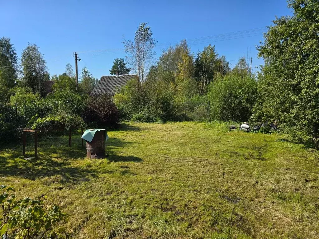 Дом в Ленинградская область, Лужский район, Мшинское с/пос, Мшинская ... - Фото 2