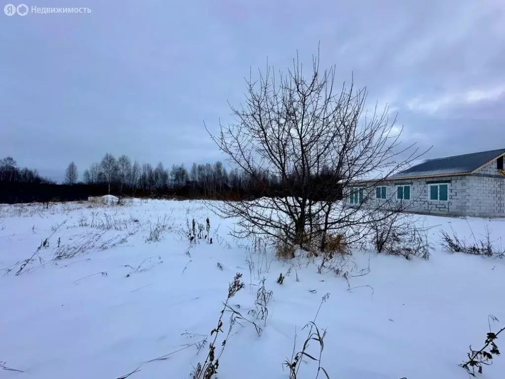 Участок в Челябинская область, Сосновский муниципальный округ, деревня ... - Фото 2