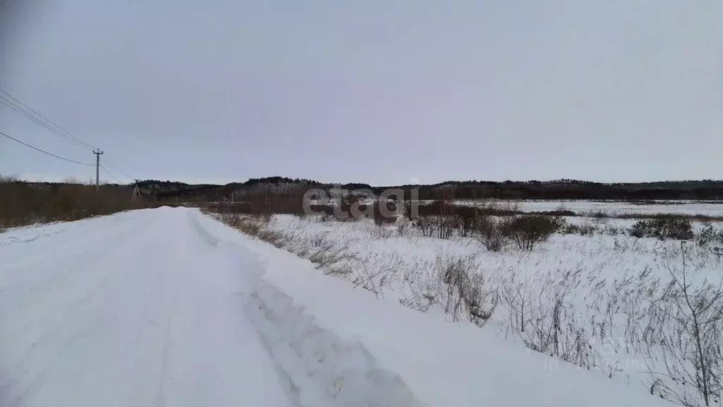 Участок в Амурская область, Благовещенский район, с. Кантон-Коммуна  ... - Фото 1