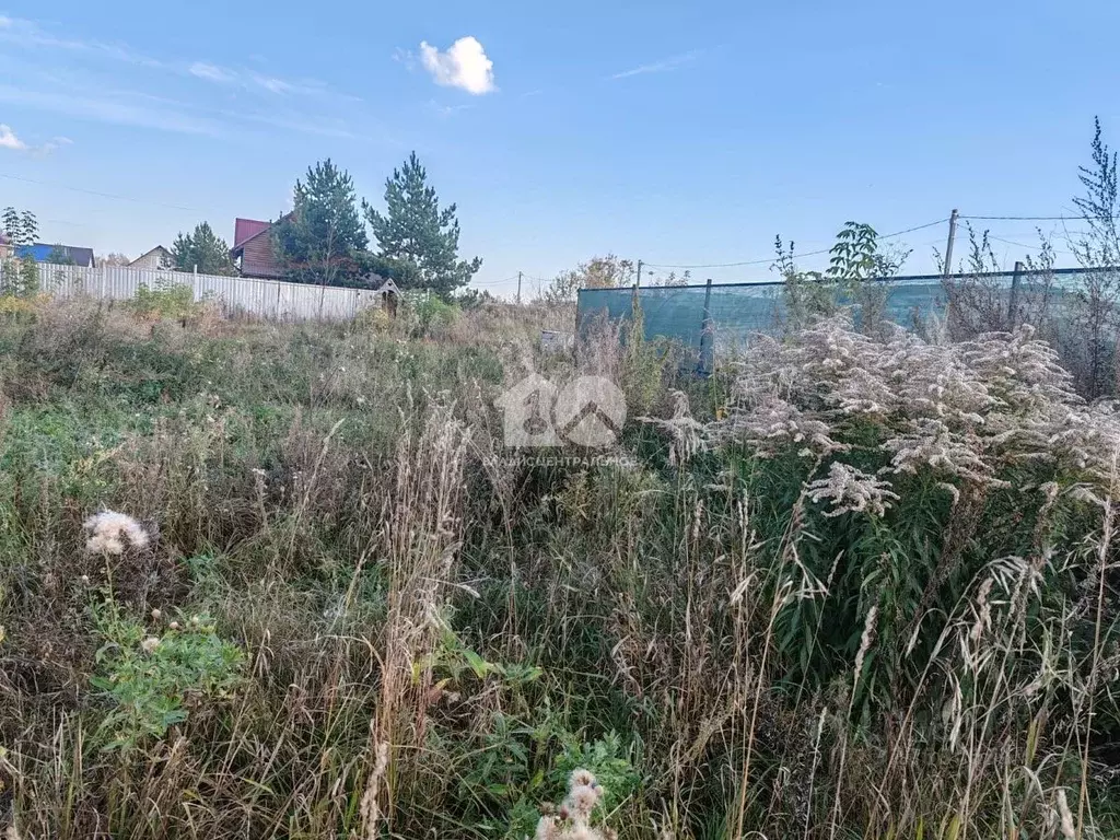 Участок в Новосибирская область, Бердск ул. Небесная (4.5 сот.) - Фото 2