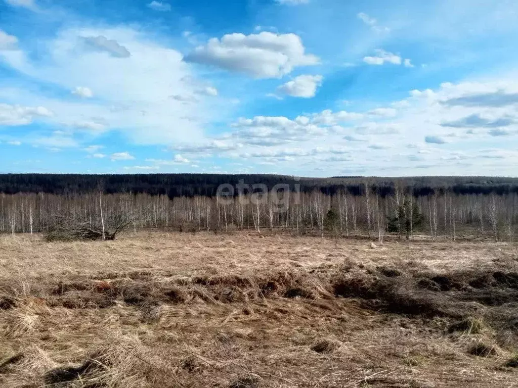 Участок в Нижегородская область, Богородский муниципальный округ, д. ... - Фото 0