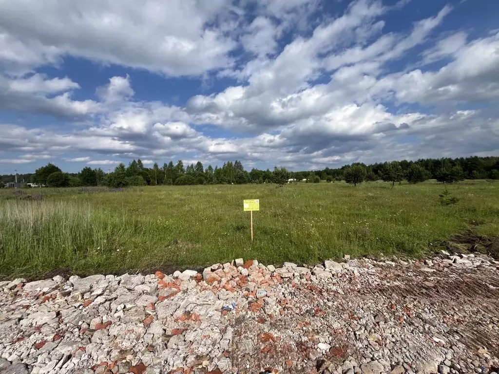 Участок в Московская область, Богородский городской округ, Следово кп ... - Фото 1
