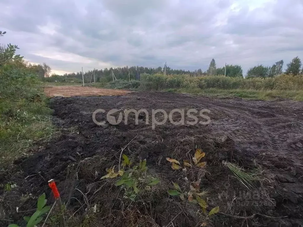 Участок в Тюменская область, Нижнетавдинский район, Сундукуль СНТ  ... - Фото 0