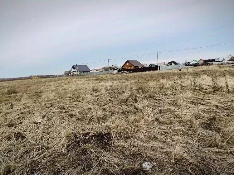 Участок в Курганская область, Шадринский муниципальный округ, с. ... - Фото 1