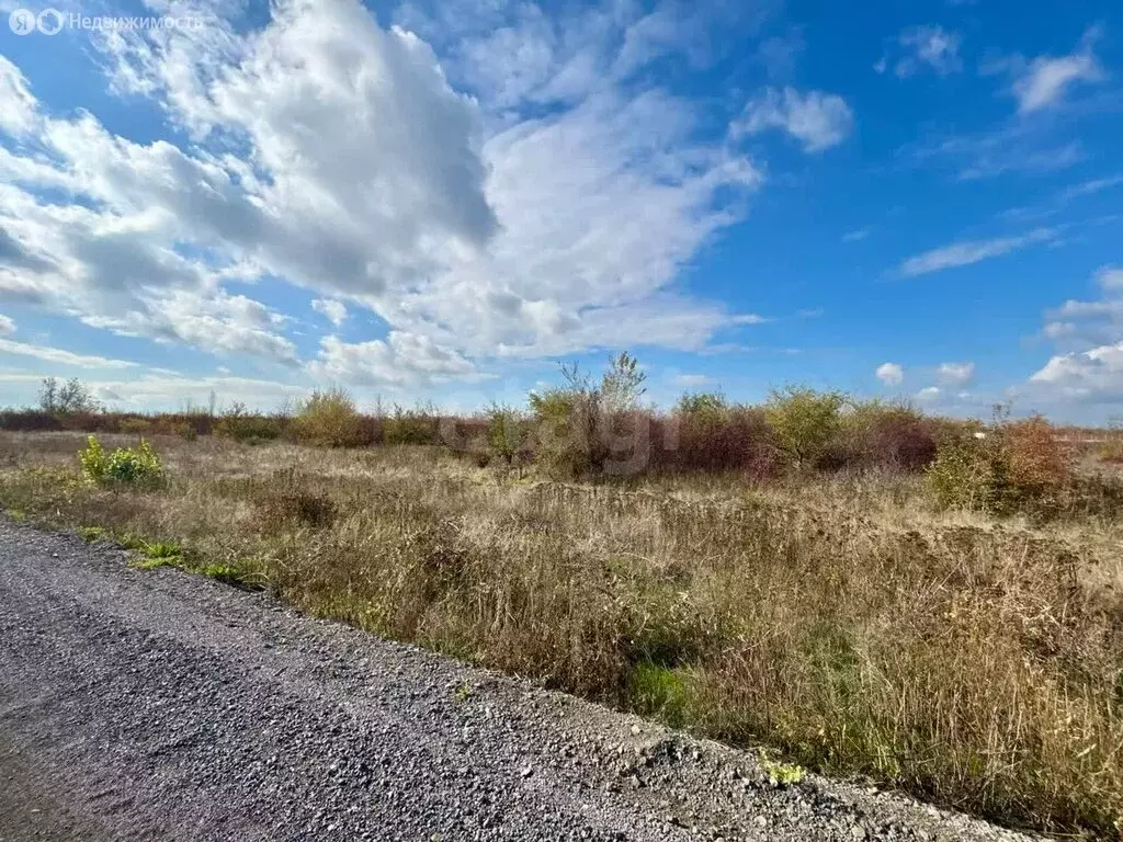 Участок в Ростовская область, Новочеркасск (100 м) - Фото 2