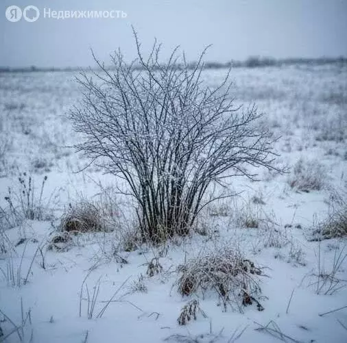 Участок в село Юськи, Бирюзовая улица (1021 м) - Фото 1