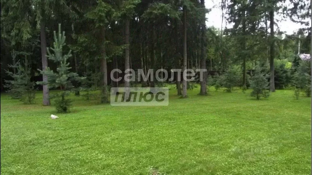 Участок в Воронежская область, Рамонский район, с. Новоживотинное  ... - Фото 1