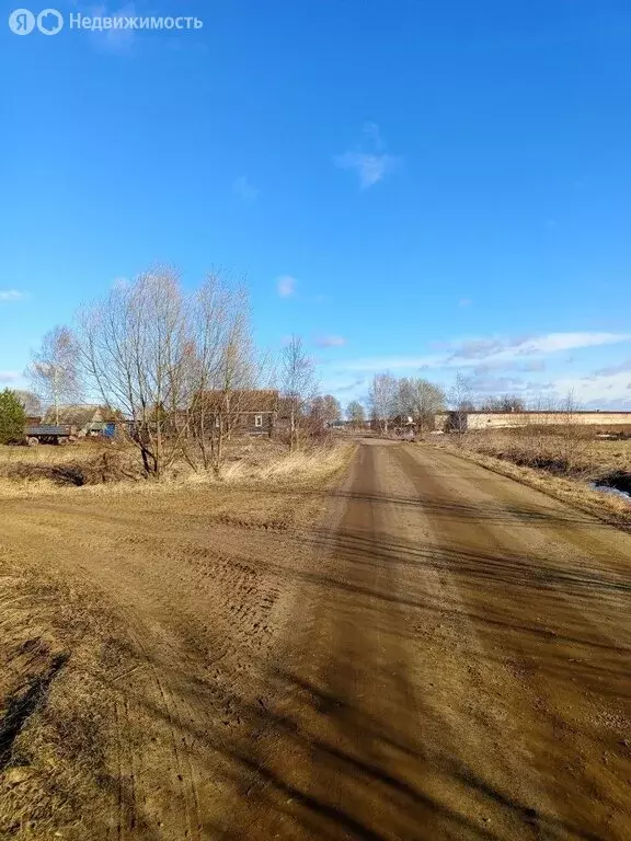 Участок в Ярославская область, Рыбинский муниципальный округ, деревня ... - Фото 1