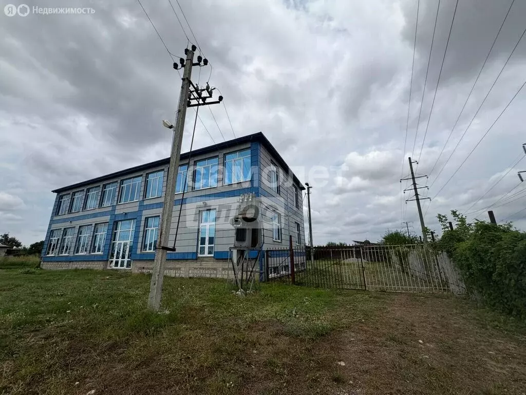 Помещение свободного назначения (600 м) - Фото 1