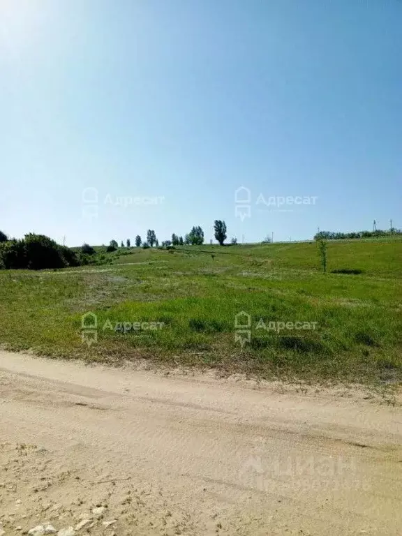 Участок в Волгоградская область, Городищенский район, ... - Фото 1