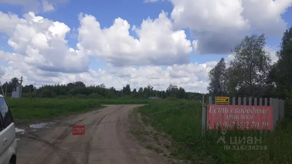 Участок в Новосибирская область, Коченевский район, Тальник СНТ ул. ... - Фото 1
