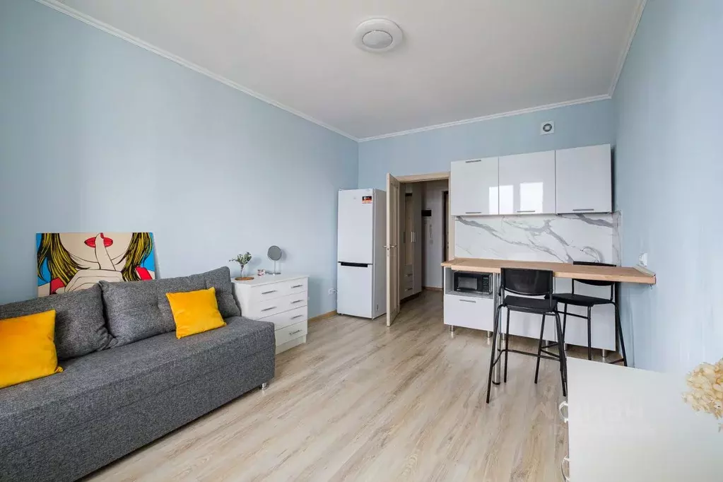 Студия Санкт-Петербург ул. Плесецкая, 10 (23.0 м) - Фото 1