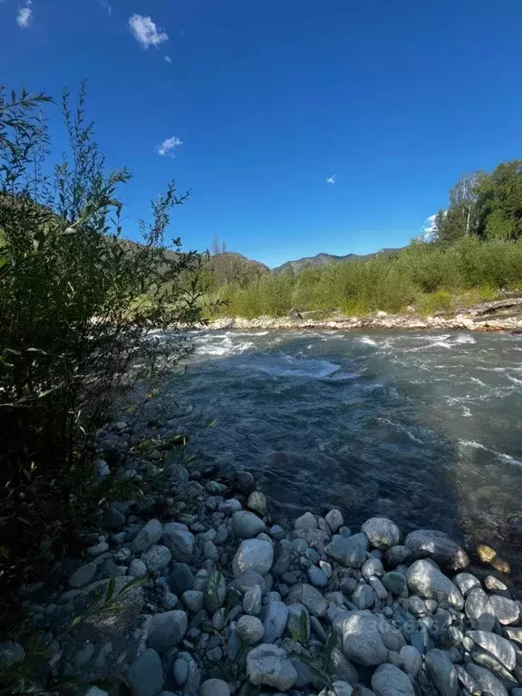 Участок в Алтай, Усть-Коксинский район, с. Мульта  (130.0 сот.) - Фото 1