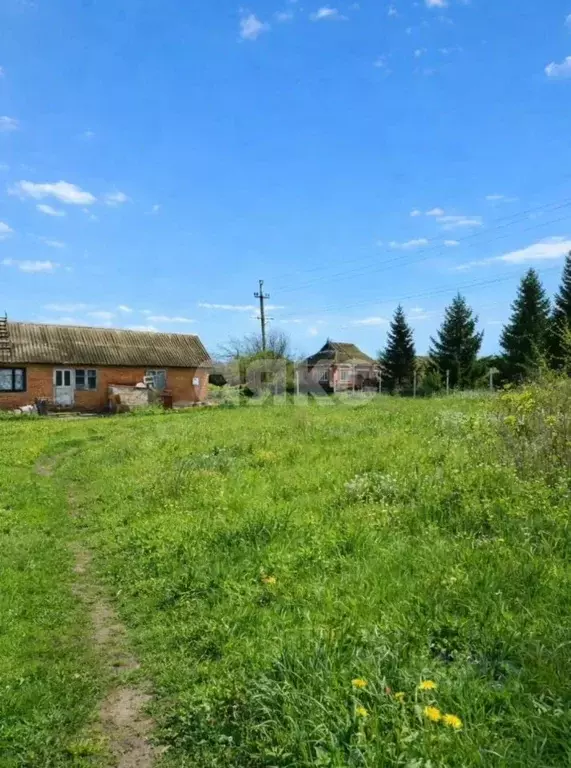 Участок в Краснодарский край, Кореновск Гвардейская ул. (5.55 сот.) - Фото 1