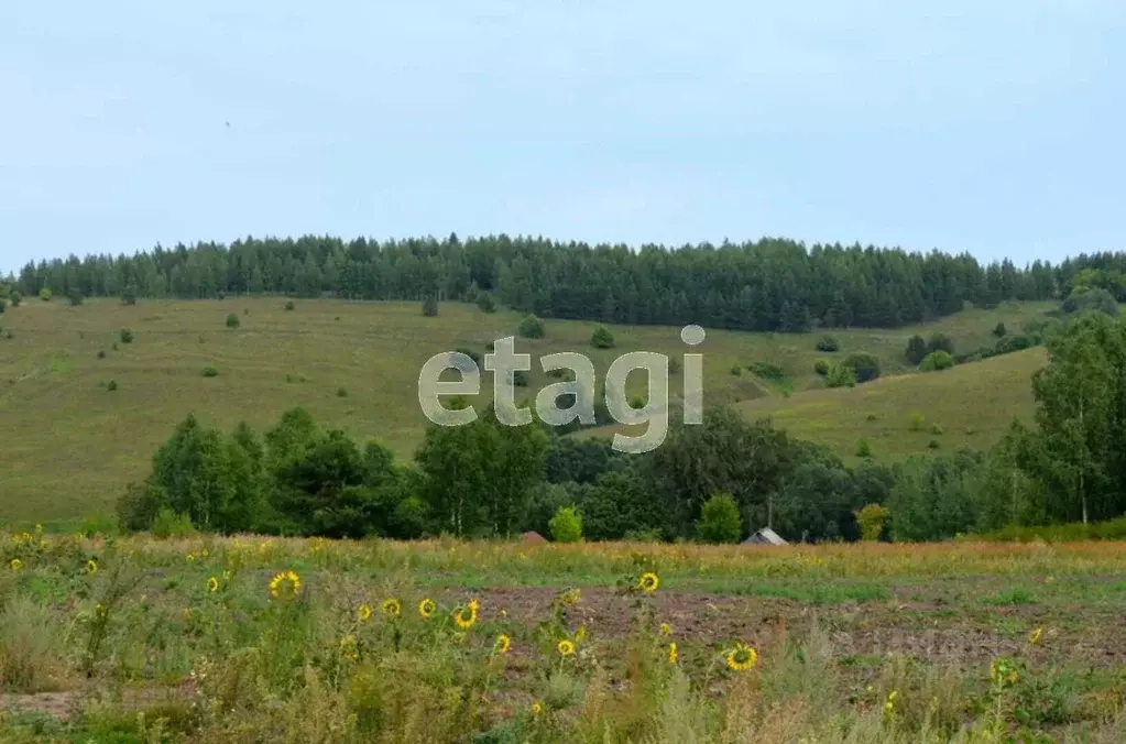 Участок в Татарстан, с. Высокая Гора  (200.0 сот.) - Фото 0