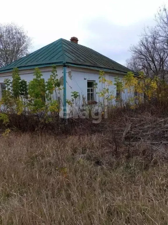 Дом в Воронежская область, Рамонский район, с. Большая Верейка ... - Фото 0