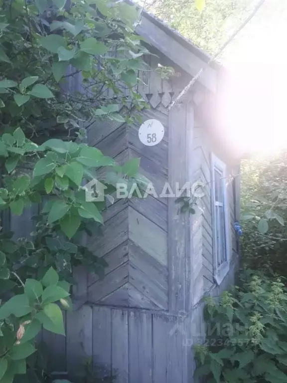 Участок в Владимирская область, Владимир № 3 АО ВТЗ сад,  (6.1 сот.) - Фото 2