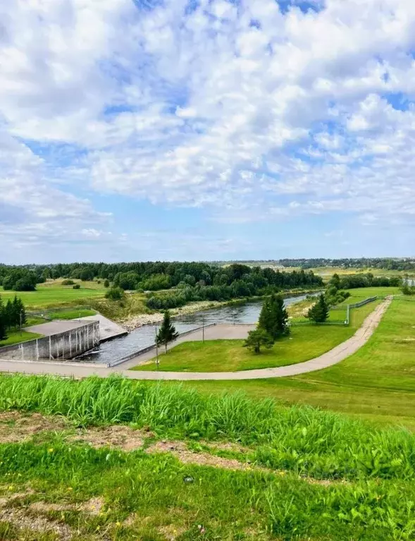 Участок в Тверская область, Зубцовский муниципальный округ, ... - Фото 2