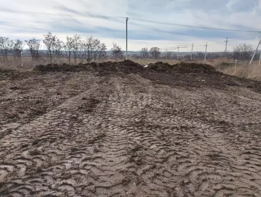 Участок в Краснодарский край, Новороссийск городской округ, ... - Фото 1